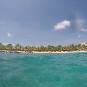 Meet your Posher, Claudia